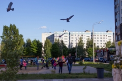 20180601-IMG_4855